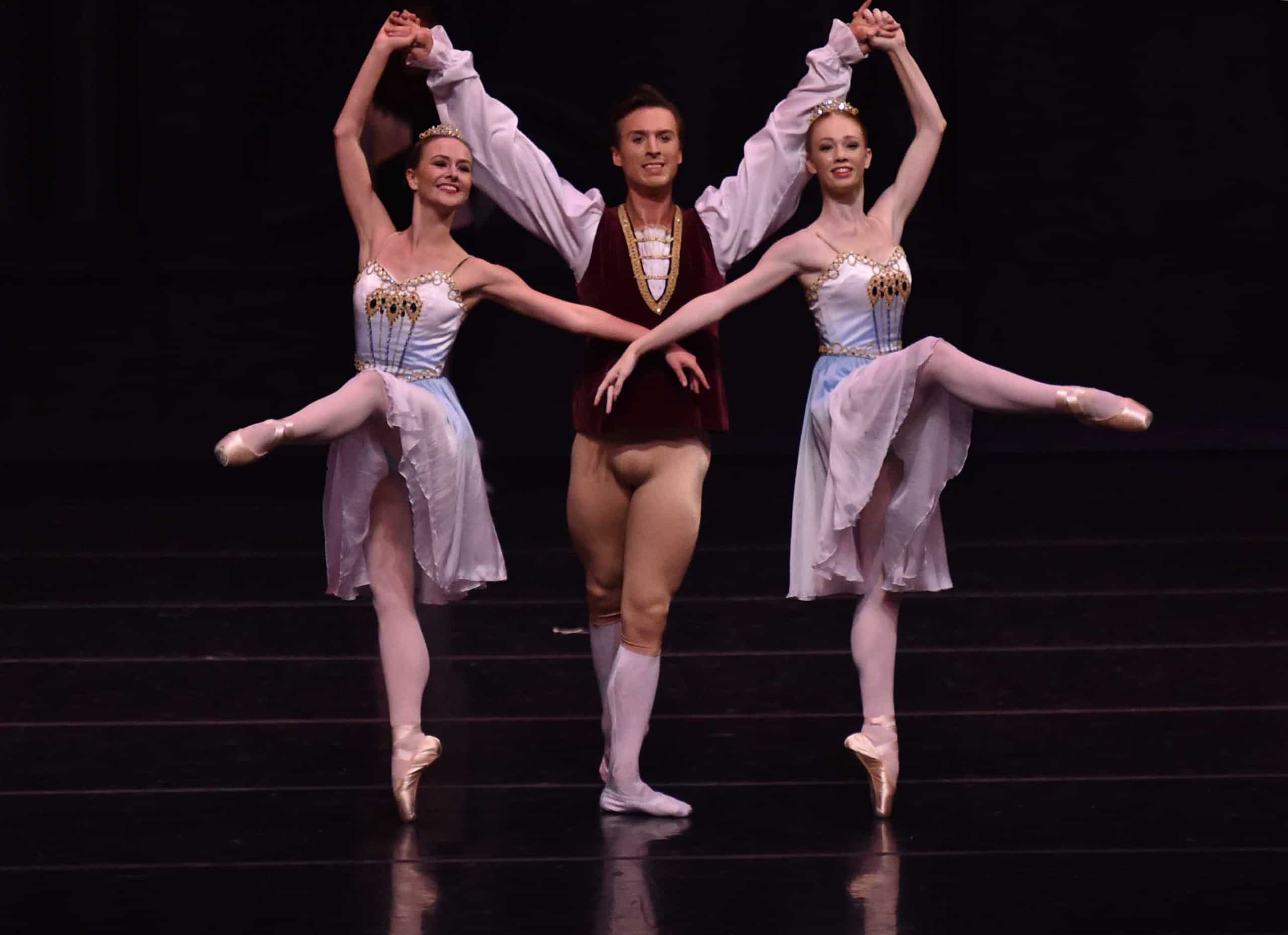 Swan Lake 2015-3