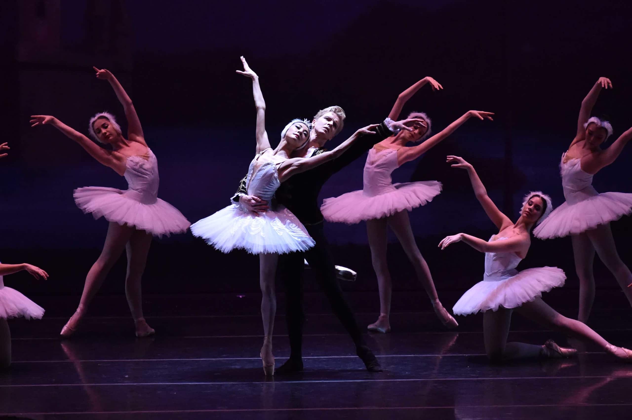 Swan Lake 2015-5