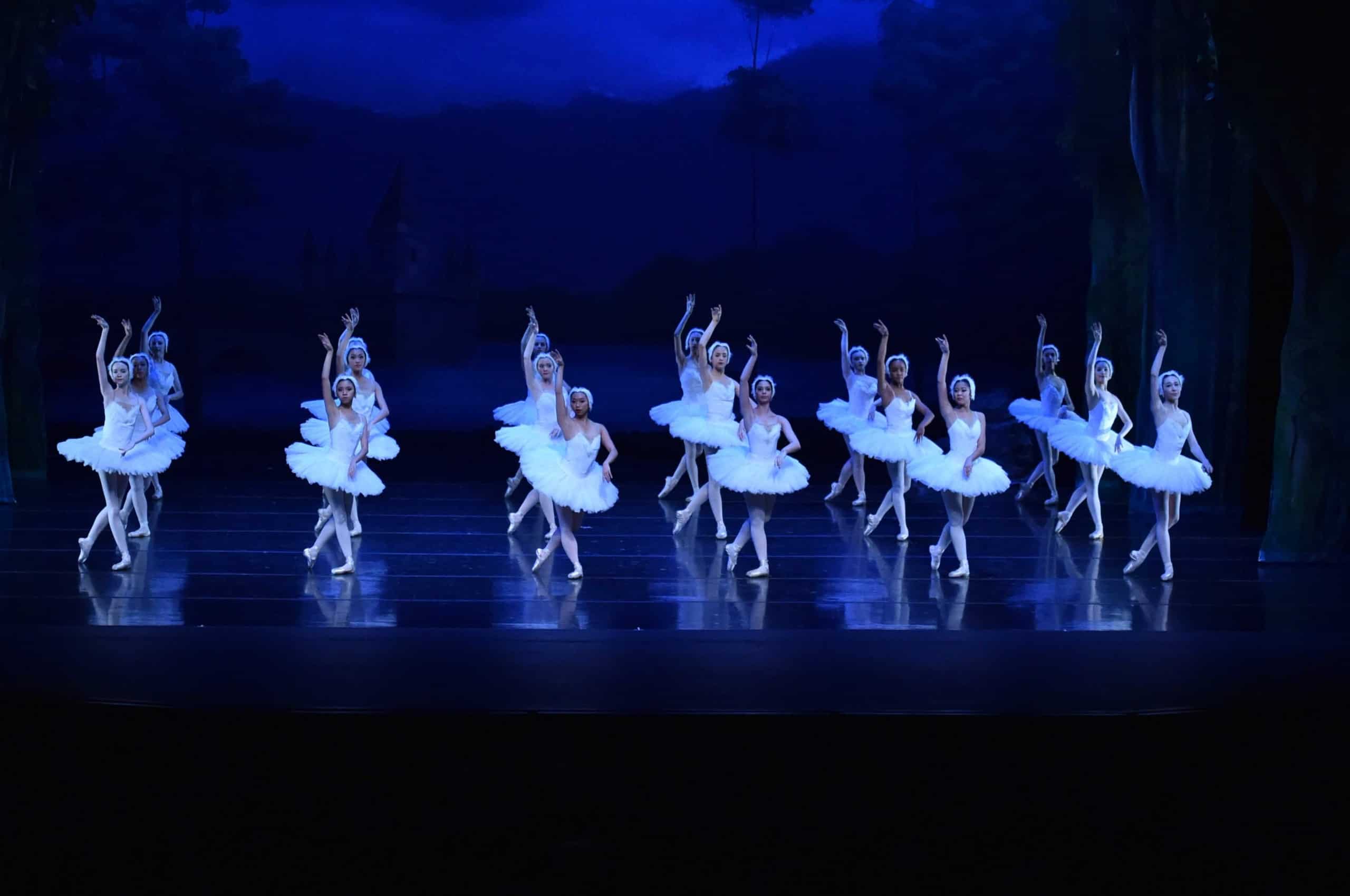 Swan Lake 2015-6